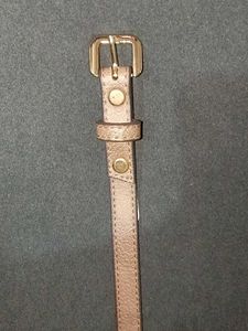 Women Branded Belt