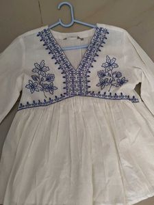 Embroidered V-Neck Top