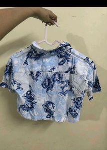 Dragon Printed Crop Shirt