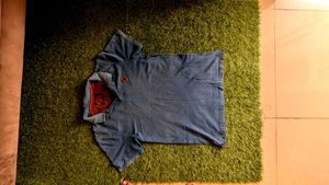 branded tshirt for men blue color