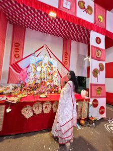 Elegant White &amp; Red Saree(Blouse unstiched)