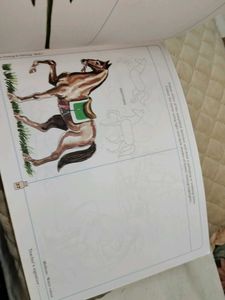 Colouring Book