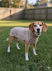 Dog Sweater
