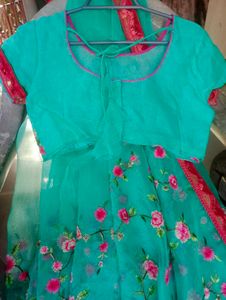 Free Stitched Blouse 🆕Full Body Embroidered Saree