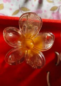 Hair Clutcher Combo OF 6