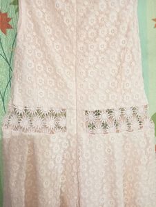 Pink Lace Fit &amp; Flare Dress