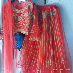 Rani Embroidered Lehenga Choli
