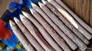 Rustic Branch Colored Pencils - Unique Art Supply