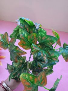 Leaf Bunches