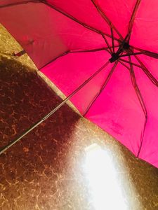 Marshall Pink Umbrella