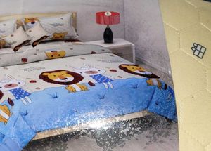 Bedsheet With 5 Pcs Set