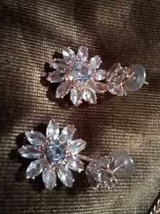 Silver Tone Flower Necklace &amp; Earring Set