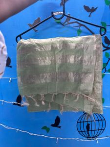 Elegant Green Kurta Set