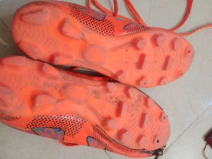 cisco Orange Sport Shoes(40 number)