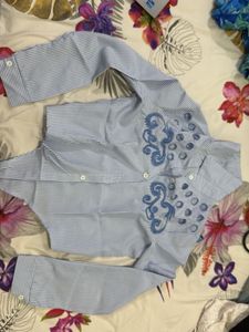 Striped Embroidered Shirt