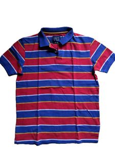 Striped Polo Shirt