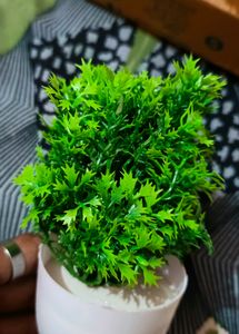 Artificial plants Set Of 5