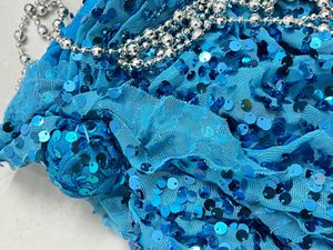 Sequin Belly Dance Skirt with Belt