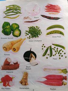 School Projects Informative Cutouts Book