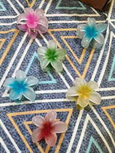 Floral Hair Claw Clips Set Of 6