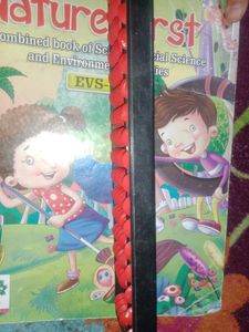 Abacus For Kids In Math