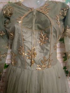 Beautiful Gown English Colour Amazing Sequence Wor