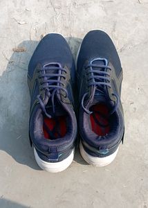 New Weldone Shoes