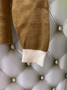 Brown Cardigan with Cream Collar