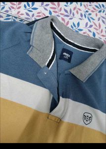 Striped Polo Shirt