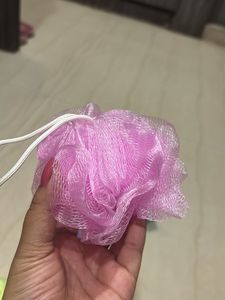 Pack Of 5 Luffa