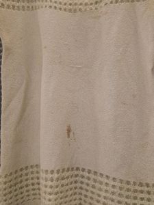 Strechable Top With Netted Design On Neck Bottom