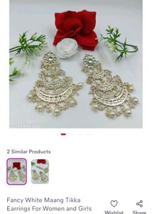 Free Shipping Pretty Bollywood Style Earrings