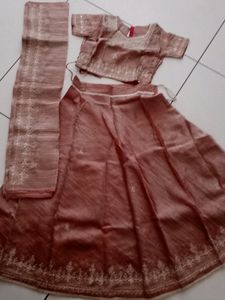 Onion Pink Lehenga Choli