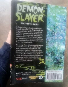 Demon Slayer Manga Vol. 13