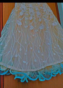 Elegant Yellow Embroidered Lehenga Choli