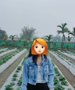 Cropped Denim Jacket