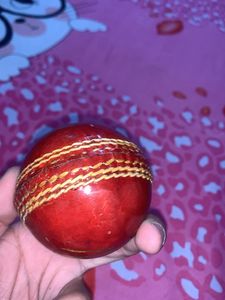 Cricket Leather Ball