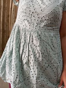 Chikankaari Beautiful Top