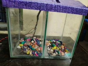 Fish Tank