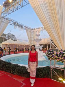 Red Blouse with Net Sleeves