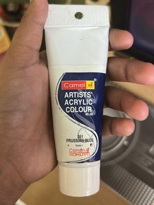 Acrylic Paint