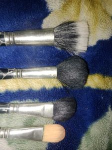 Makeup Brush Set