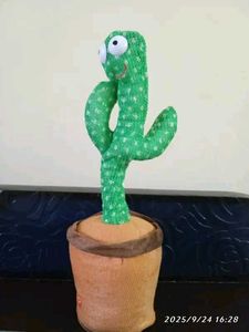 Dancing Cactus Toy