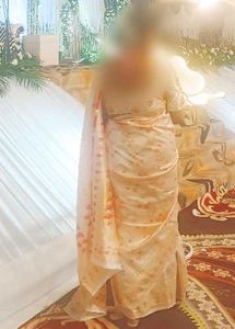 Elegant Multi colour Saree