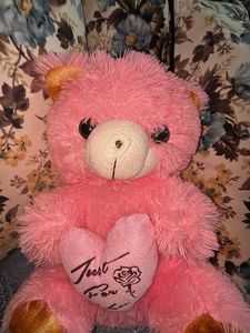 Baby Pink Teddy Bear