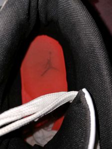 Nike Air Jordan 1 retro high og Light Smoke Grey