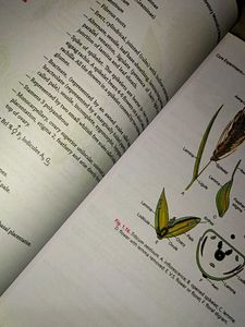 Class XI Biology Lab Manual