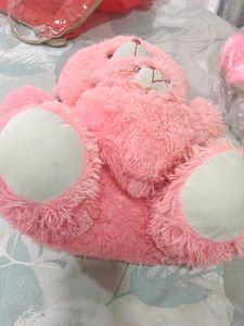 Pink Plush Teddy Bear Set