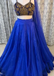 Blue Embellished Lehenga Choli