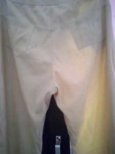 Pant